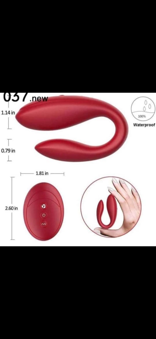 Vibrator 