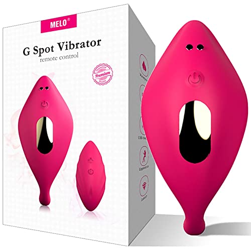 Vibrator 
