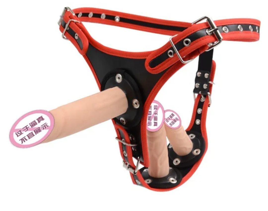 Harness 
