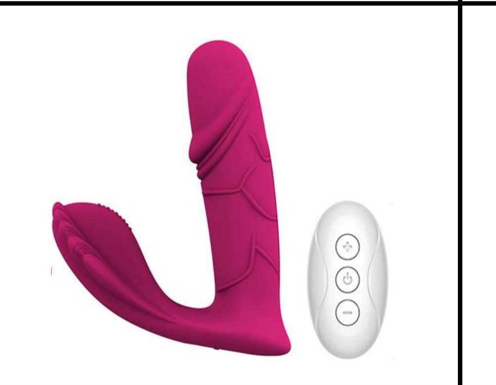 Vibrator with remote 