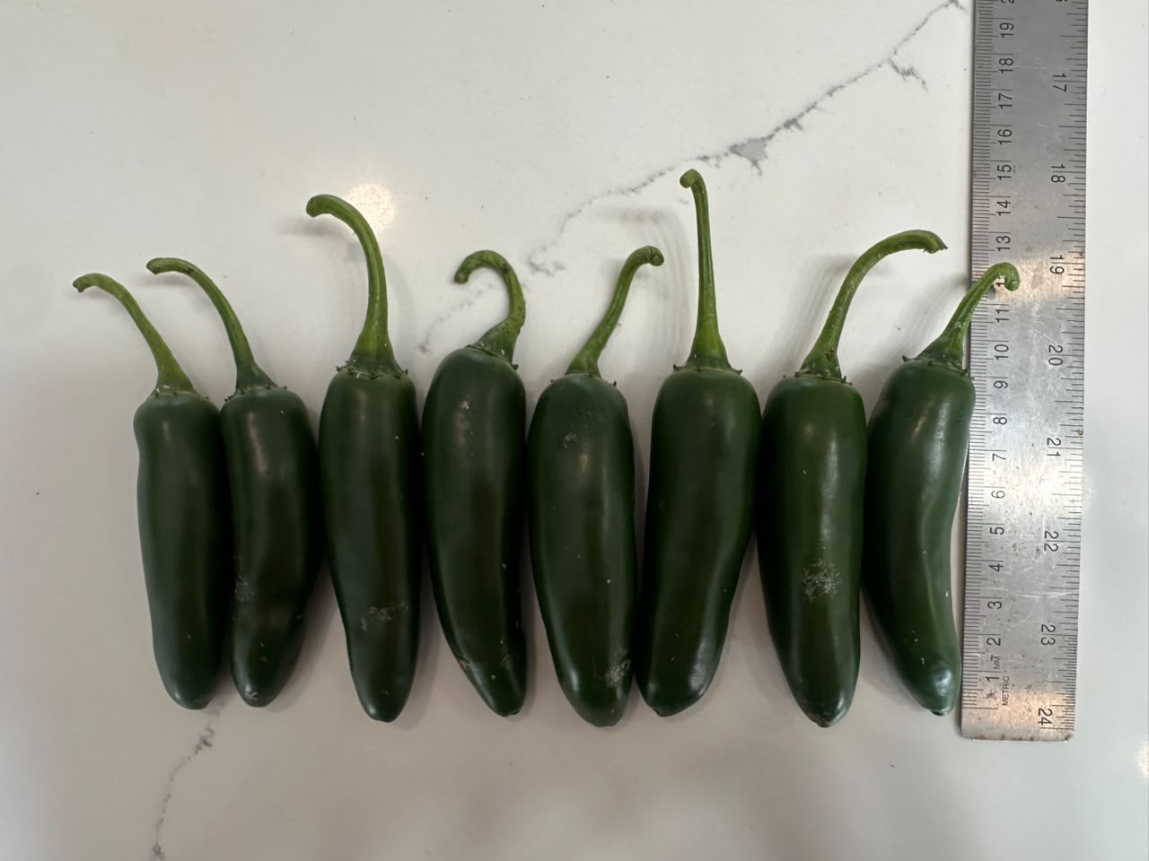 Chile 🌶️ serrano 2kg