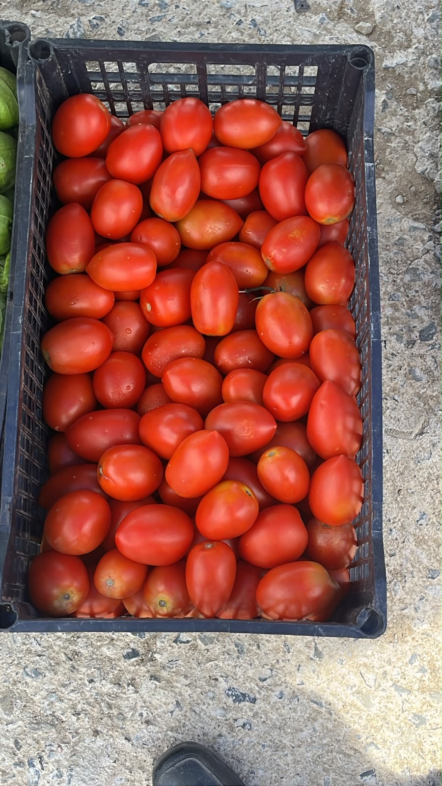 Tomate 3kg