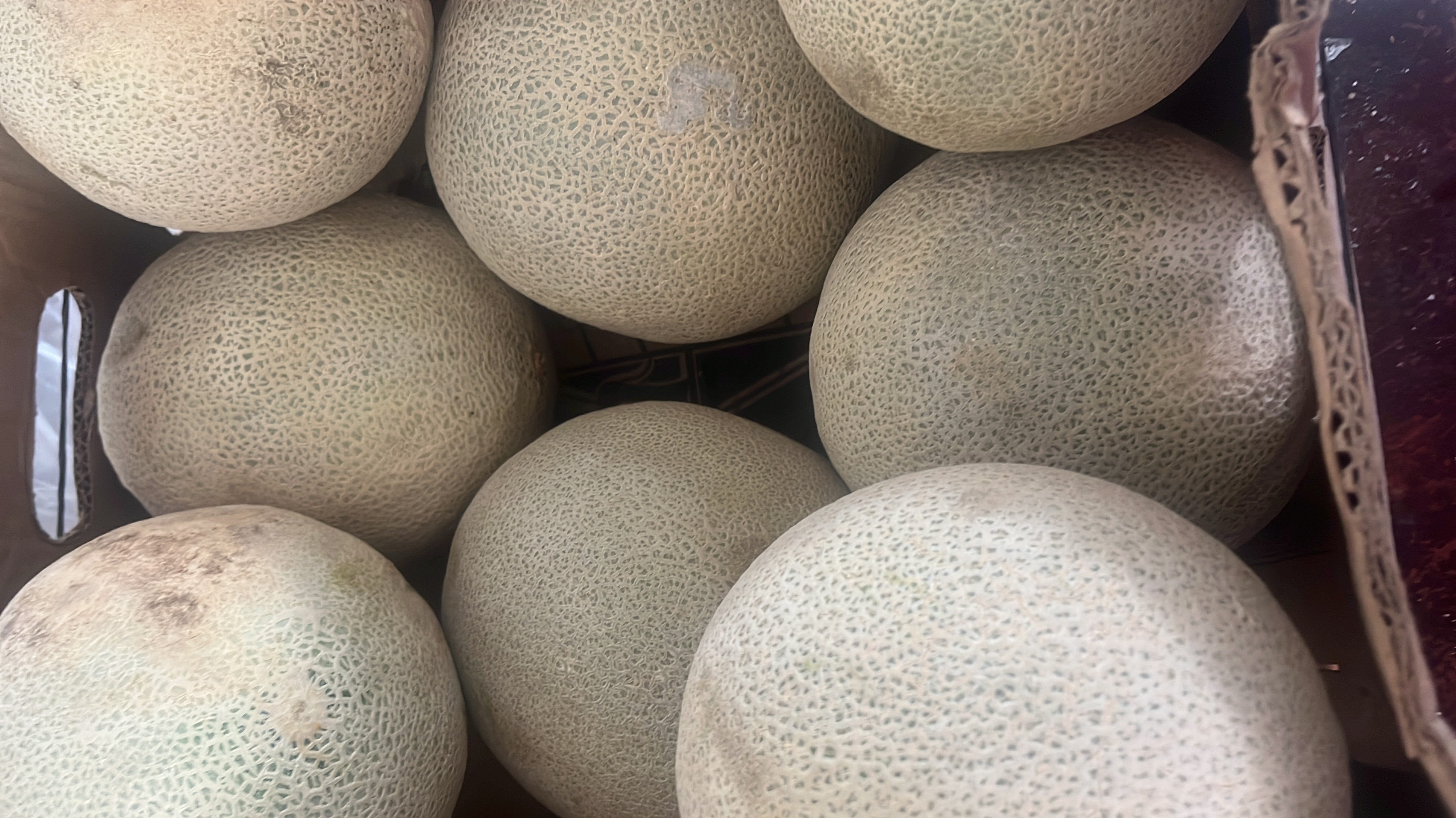 Melon por pieza