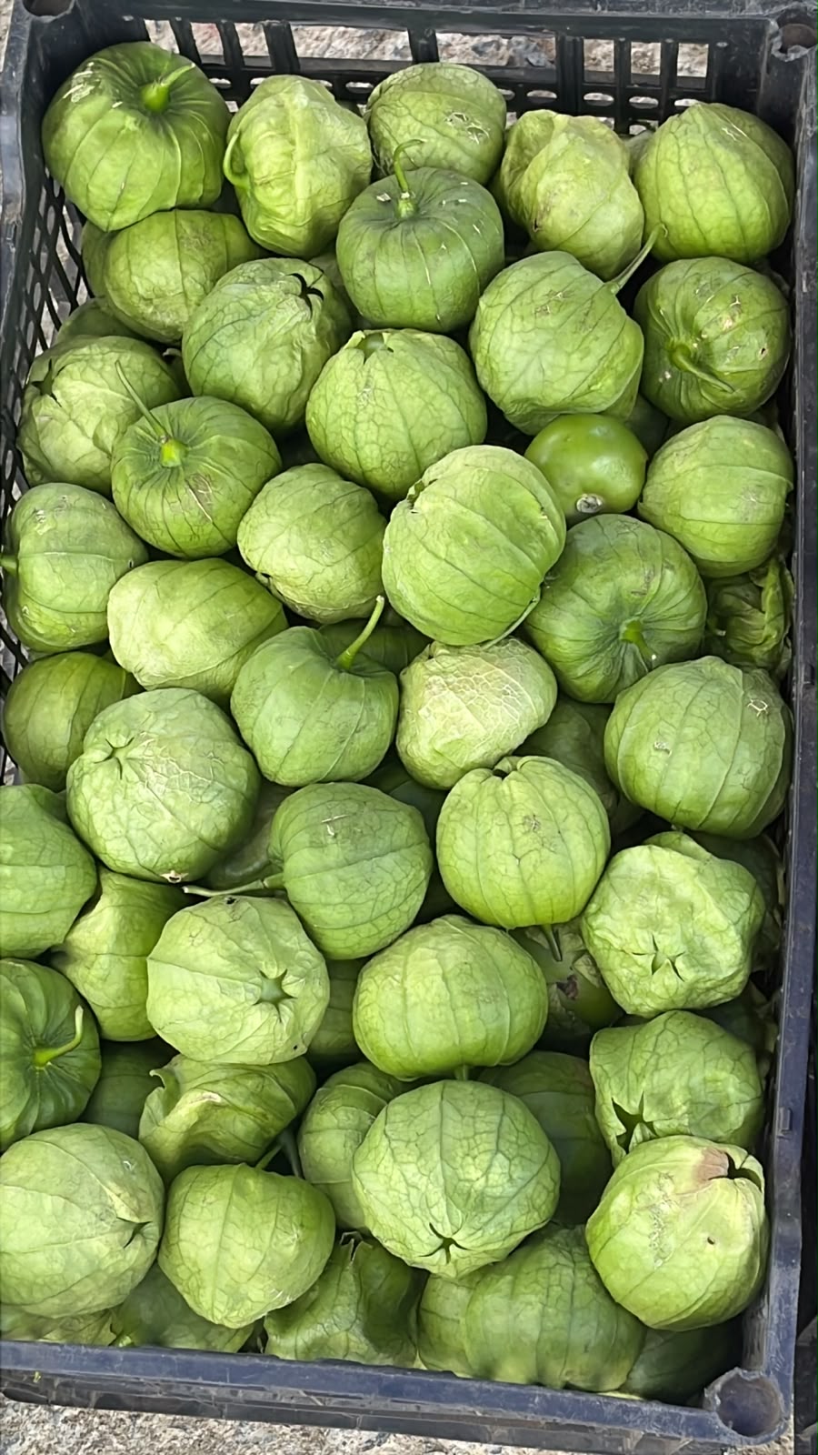 Tomatillo