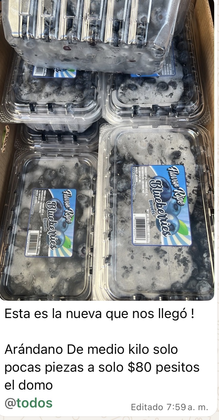 Arandanos 1/2 KG