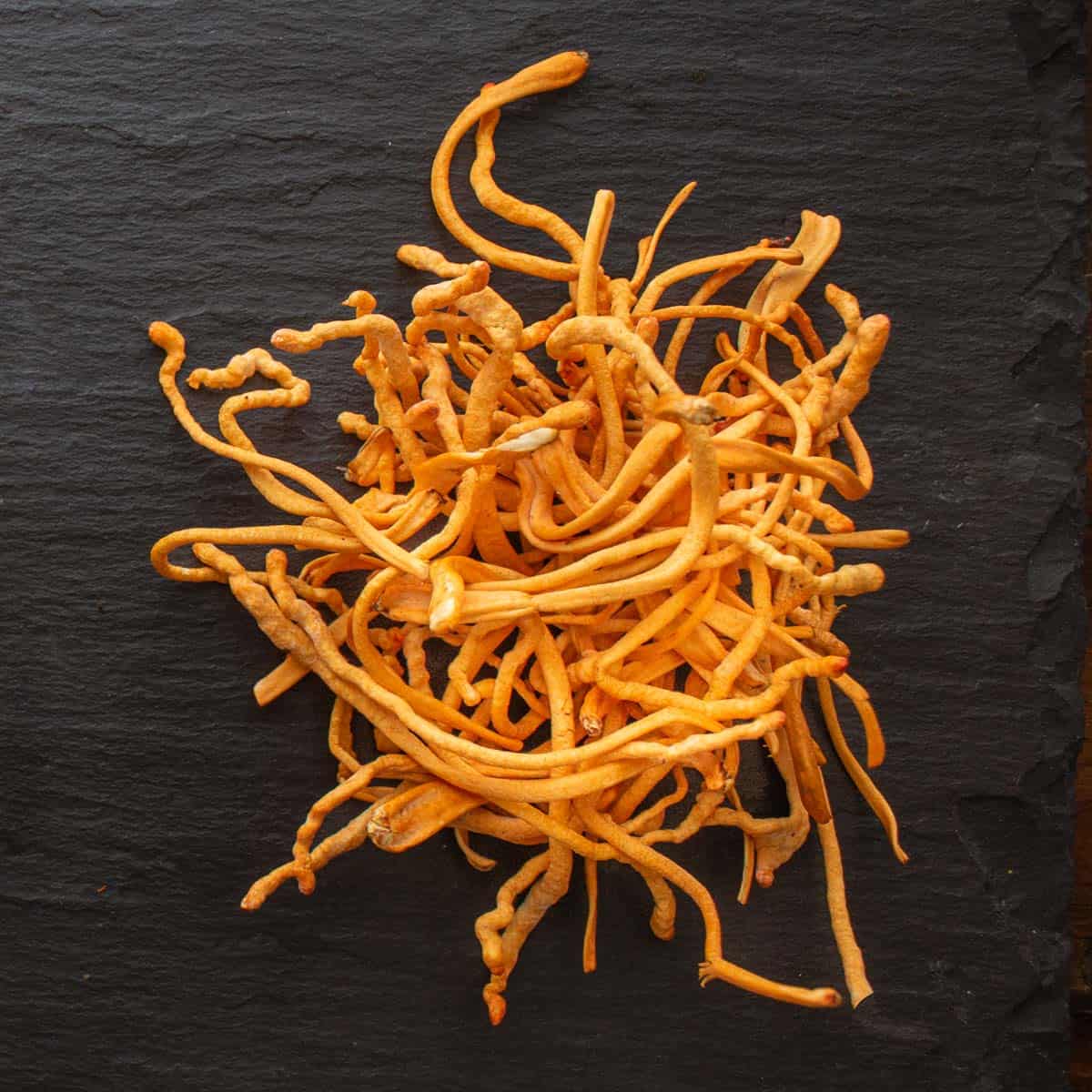 Cordyceps Capsules 2