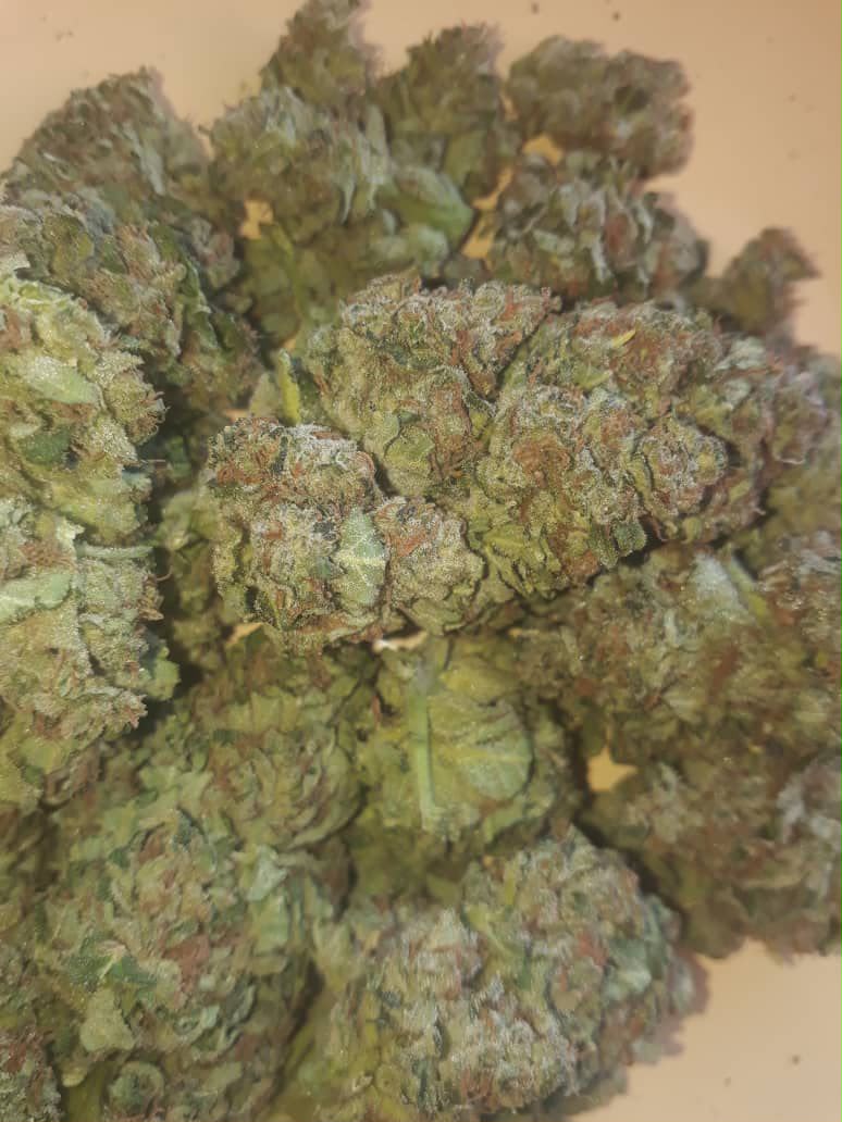 Sun Grown Flower 2