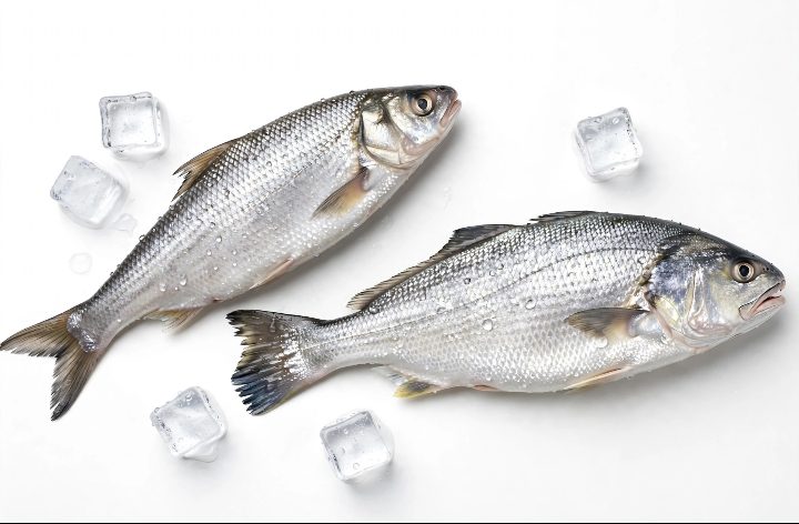 Mushka Fish whole
