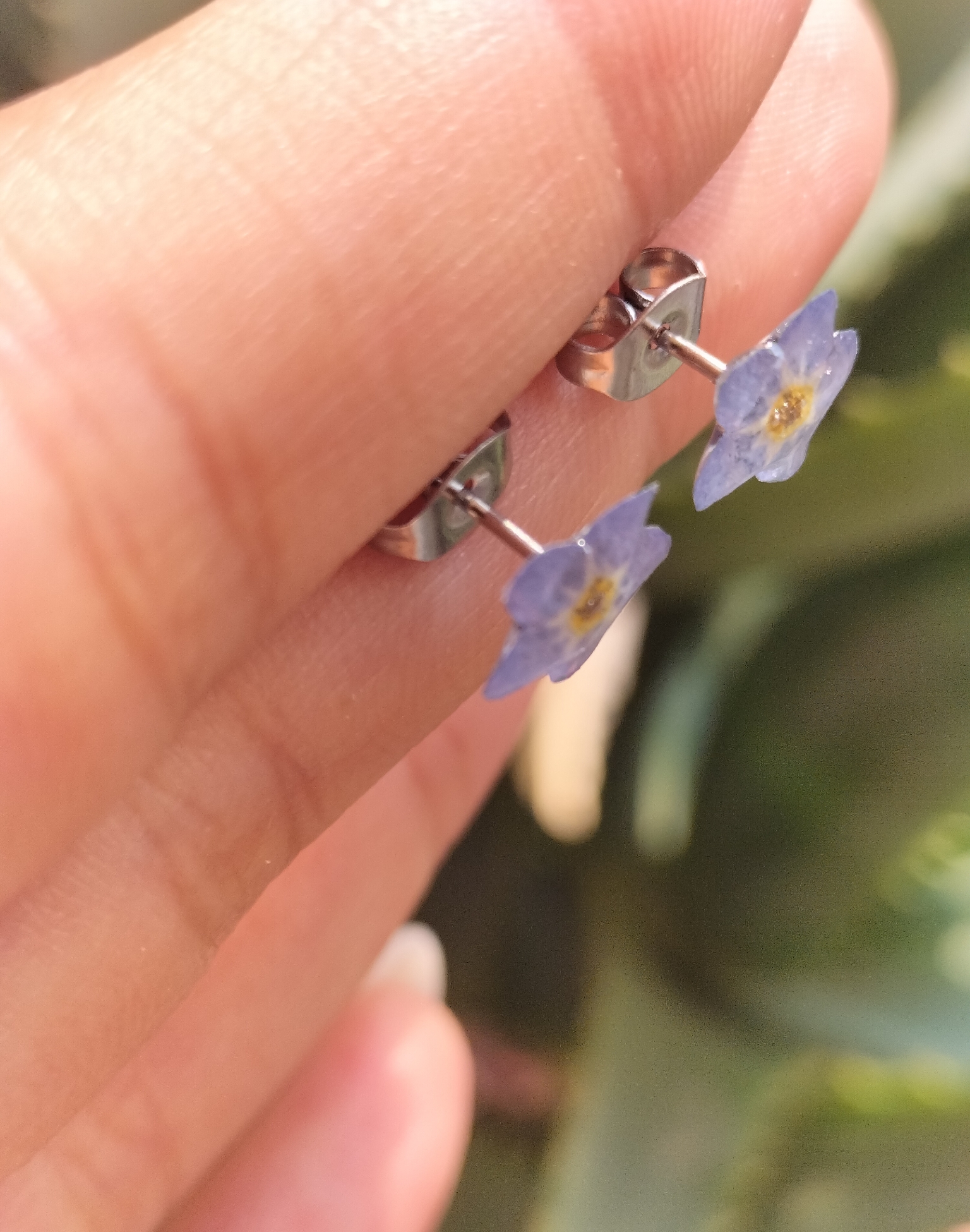 Orecchini a perno con vero fiore essiccato di Myosotis  2