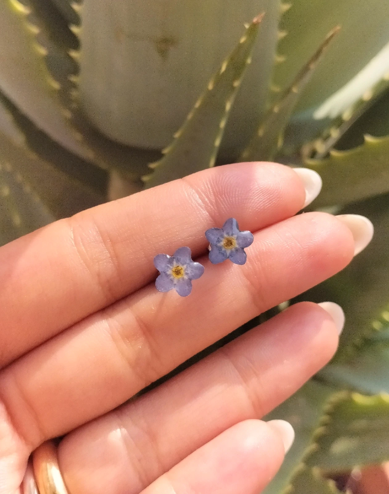 Orecchini a perno con vero fiore essiccato di Myosotis  3
