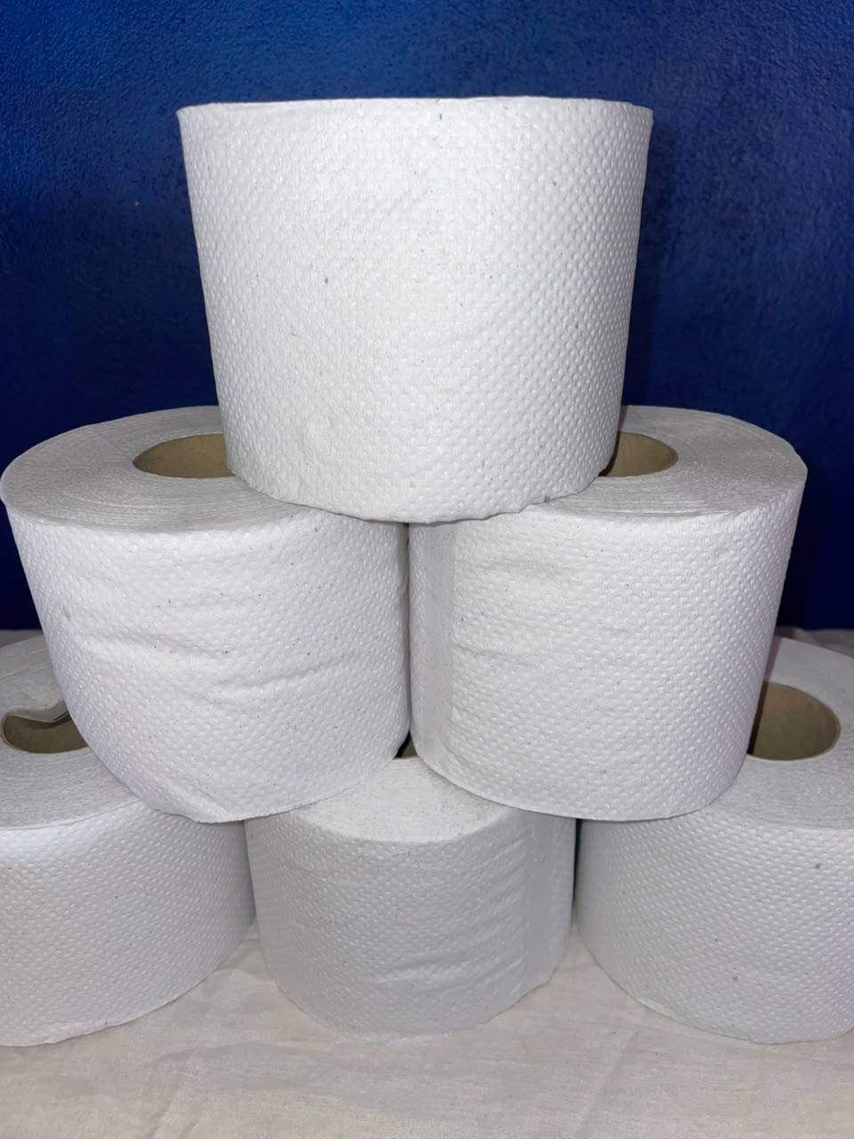 Papel higiénico unidad x 100m   2