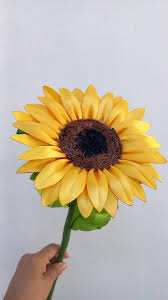 Tallo de girasol gigante  2