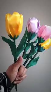Tallo de tulipán  2
