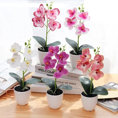 vara de orquídeas 2
