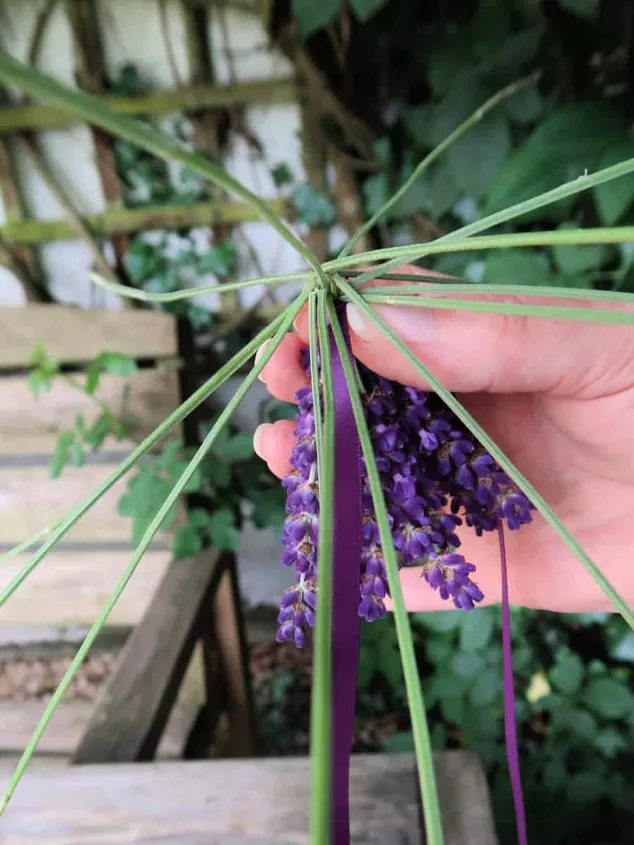 Tallo de lavanda trenza  2