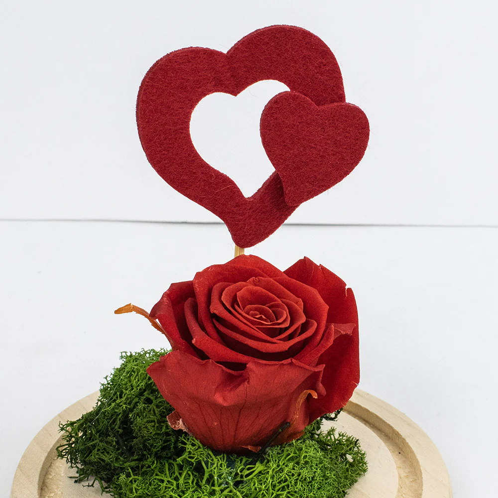 Cúpula corazón de rosas 