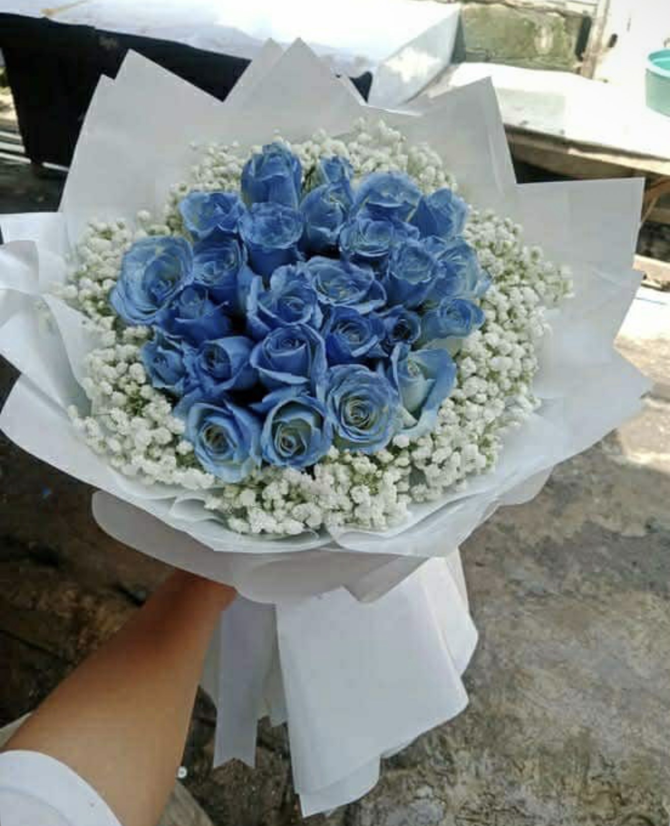 Étoile Bleue 2