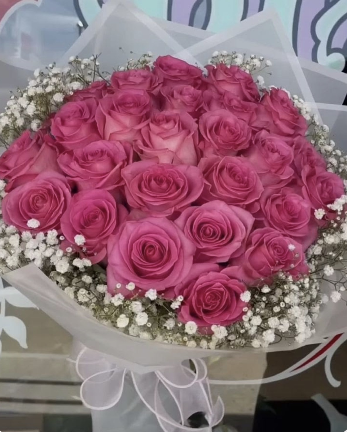 Fuchsia Élégance 2