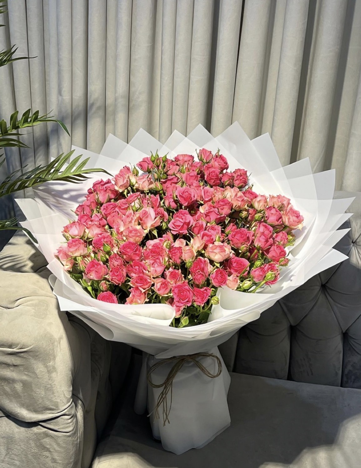 Douceur Corail