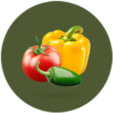 CHILE JALAPECHOS Y PIMIENTOS DE COLORES  - Image 1