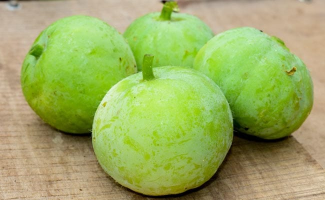 Indian Round Gourd (Tinda)