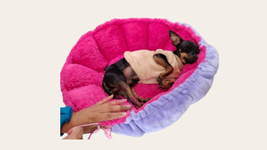 Cama Tulipán – Regulable de 40 a 70 cm 2