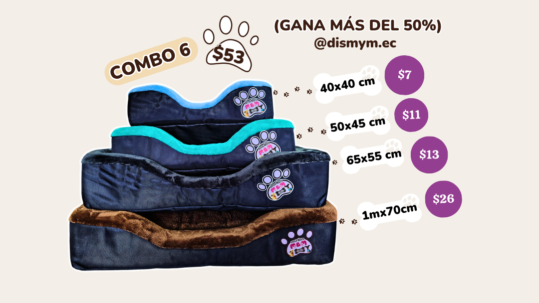 COMBO #6 Camas rectangulares económicas