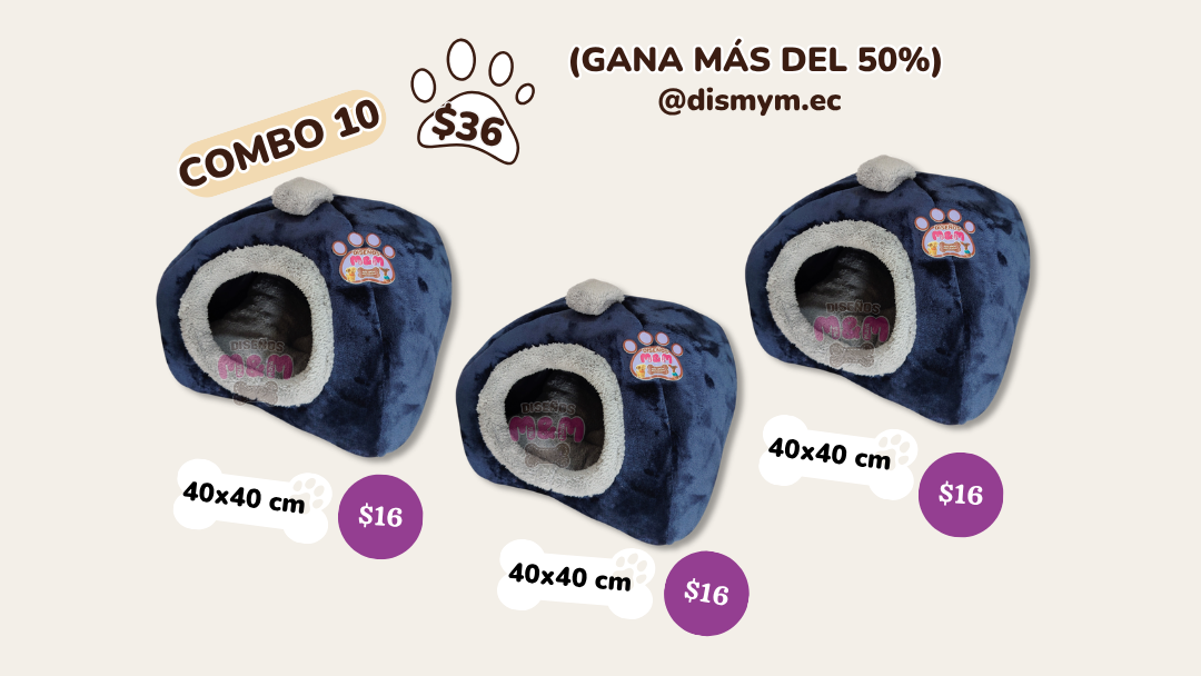 COMBO #10 Camas Casas 