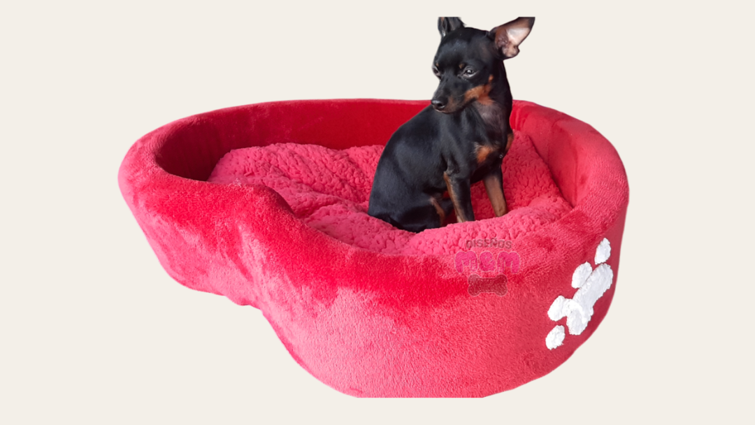 Cama Estilo Corazón - 60cm