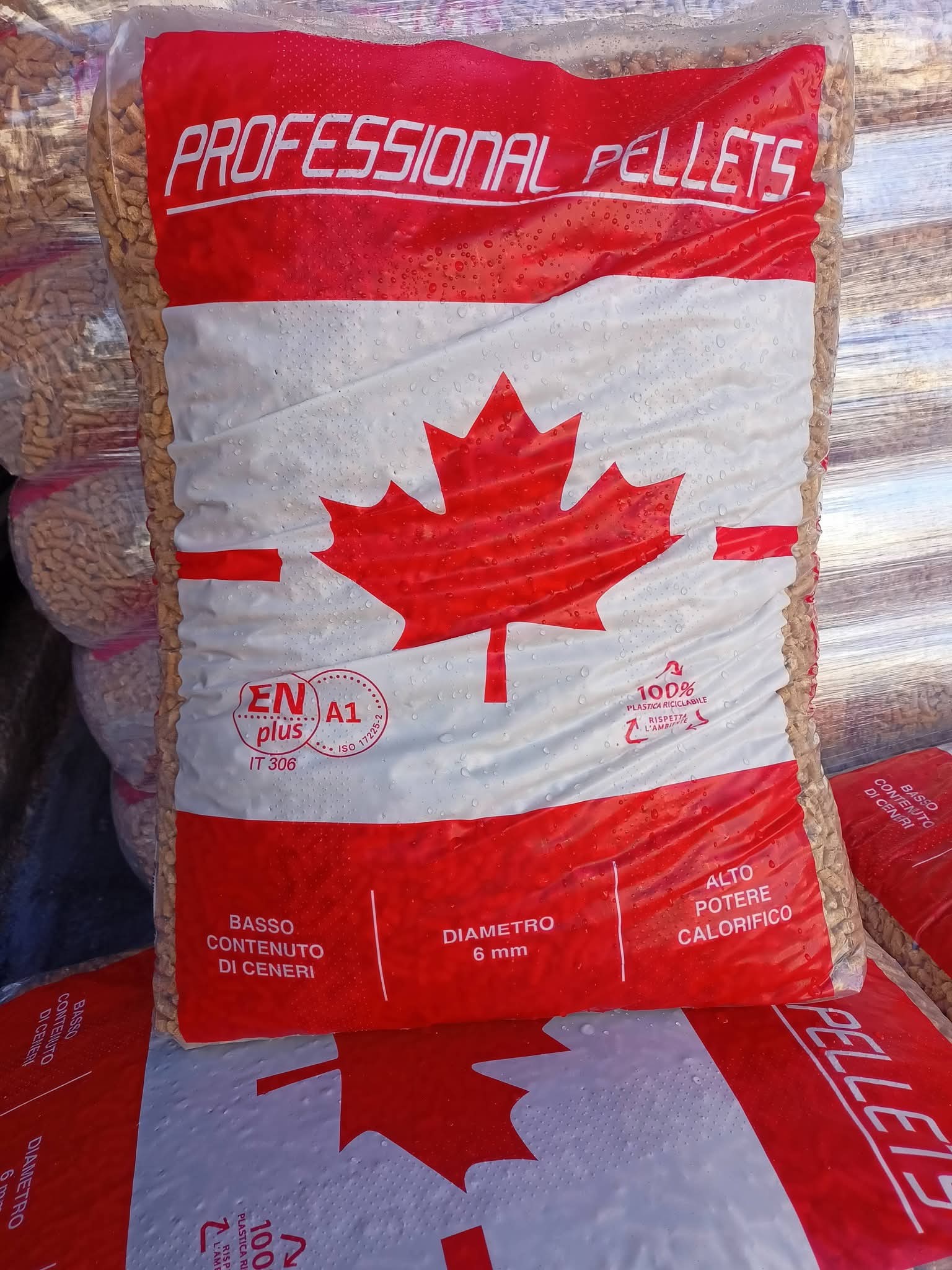 Professional Canadese 2