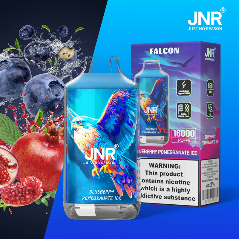 PUFF 16K JNR Blueberry Pomgranate Ice 🫐🍇🧊