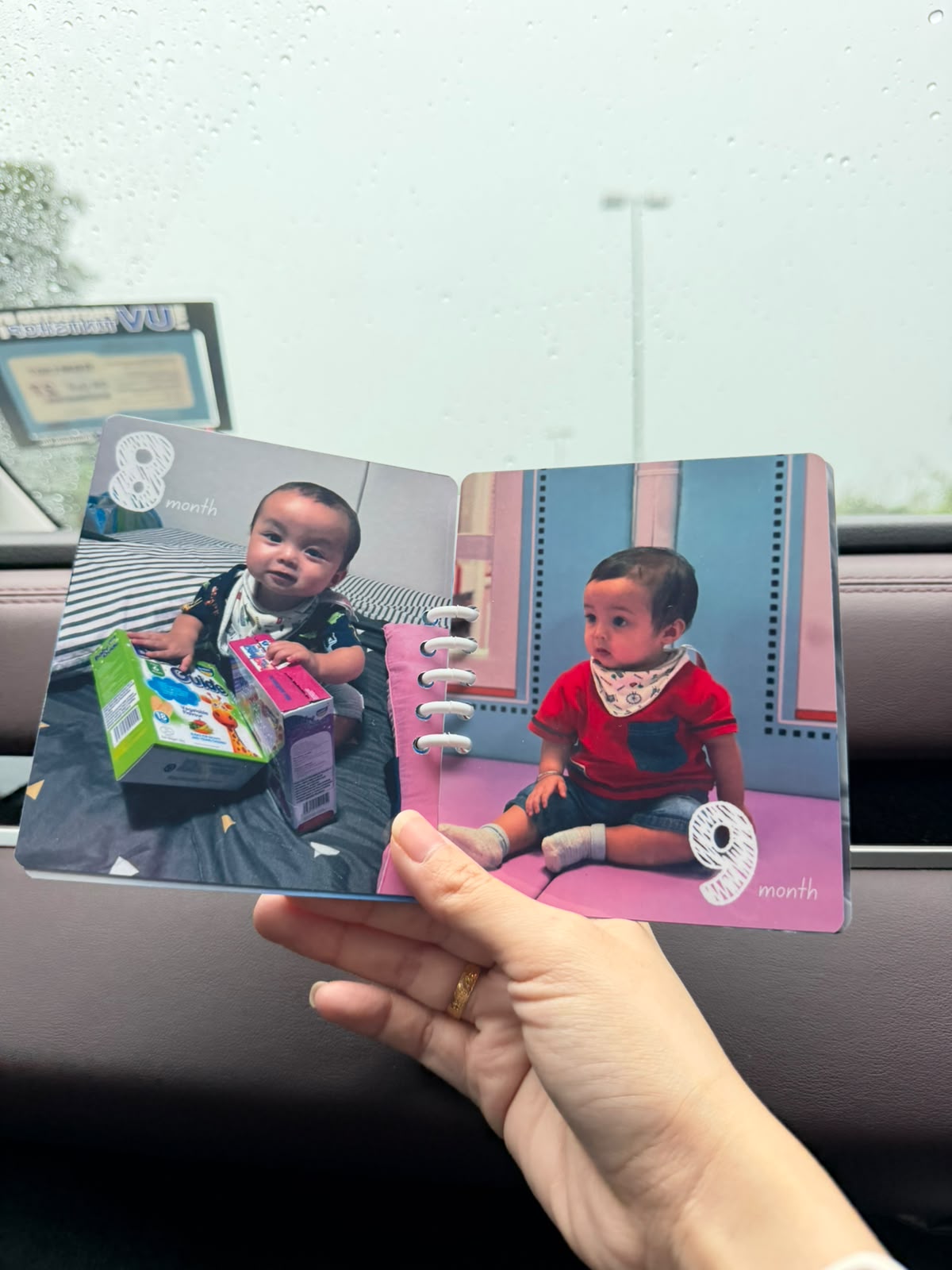 1st Year Milestone 3