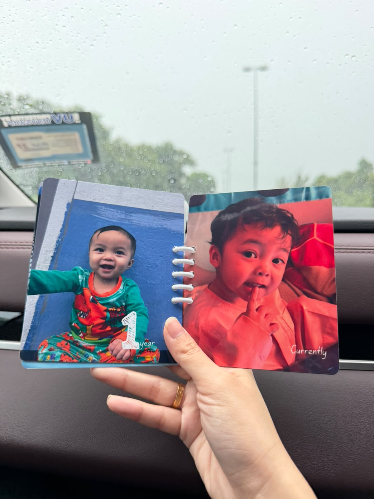 1st Year Milestone 4