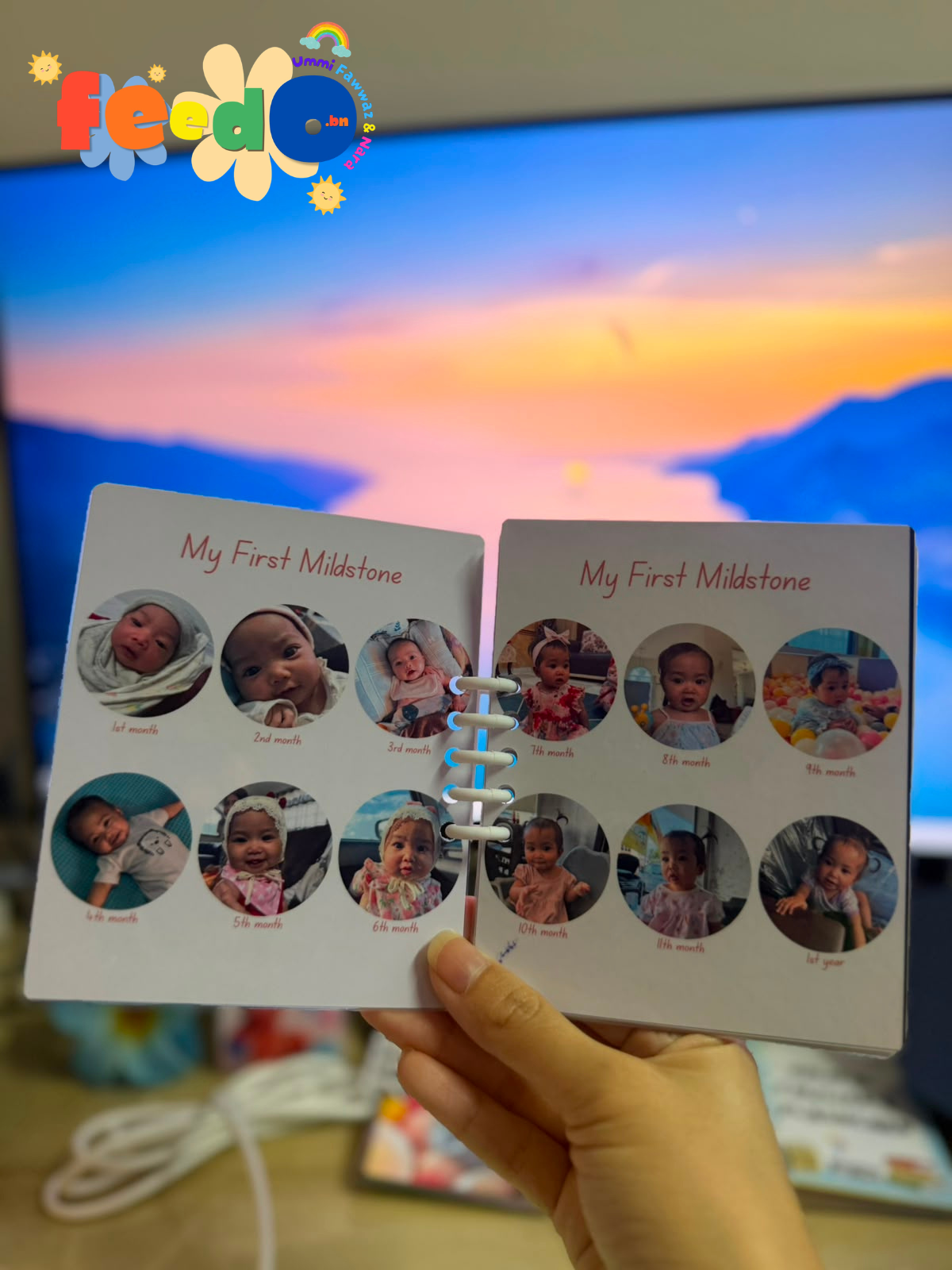 1st Year Milestone 2.0 2