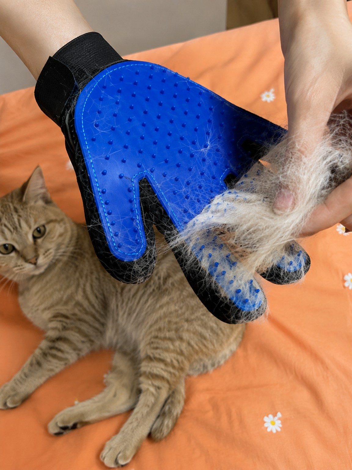 Fellpflege-Handschuh für Hunde und Katzen 2