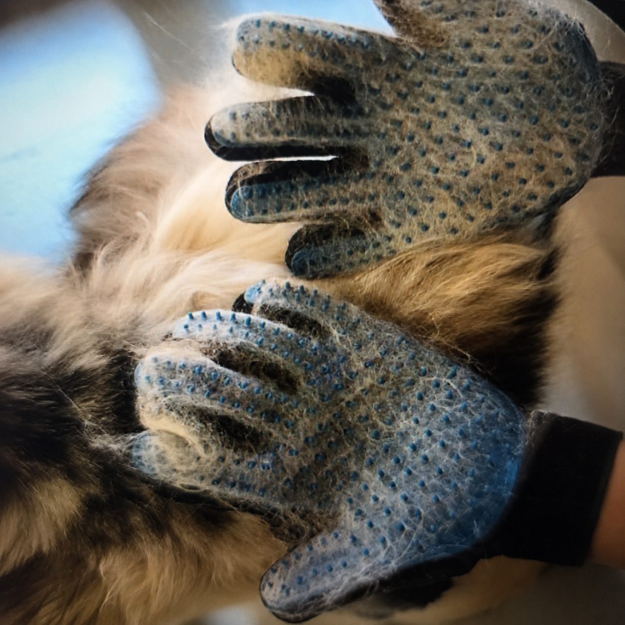 Fellpflege-Handschuh für Hunde und Katzen 3