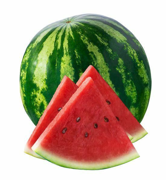 sandia 