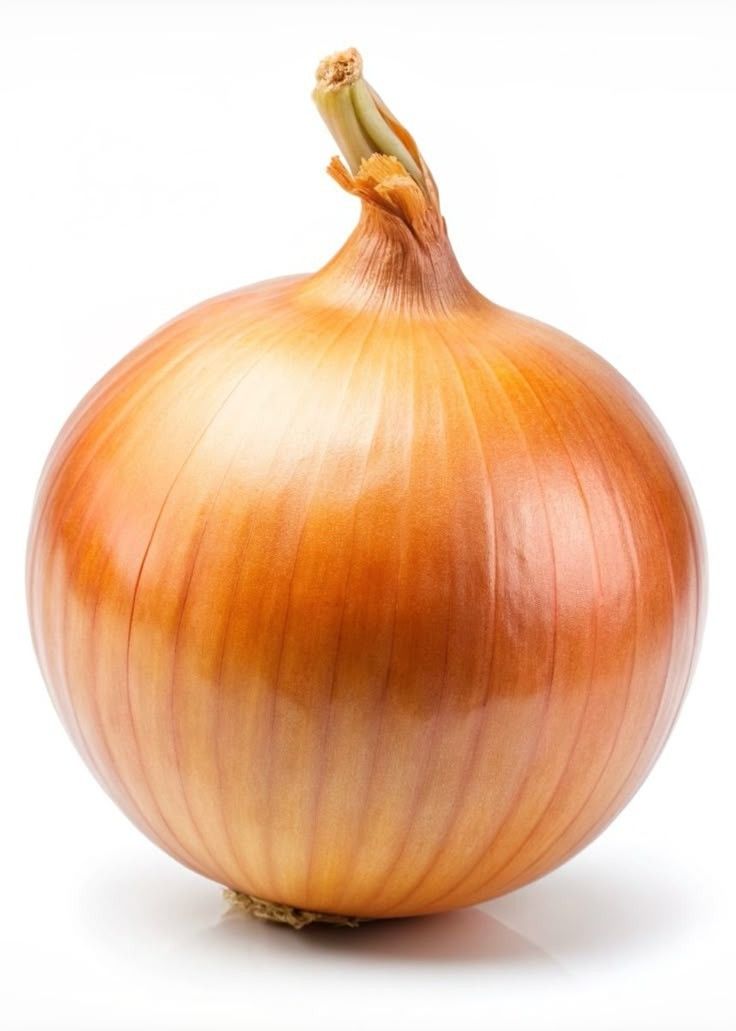 Cebolla 