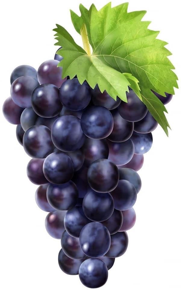 Uvas Moradas 