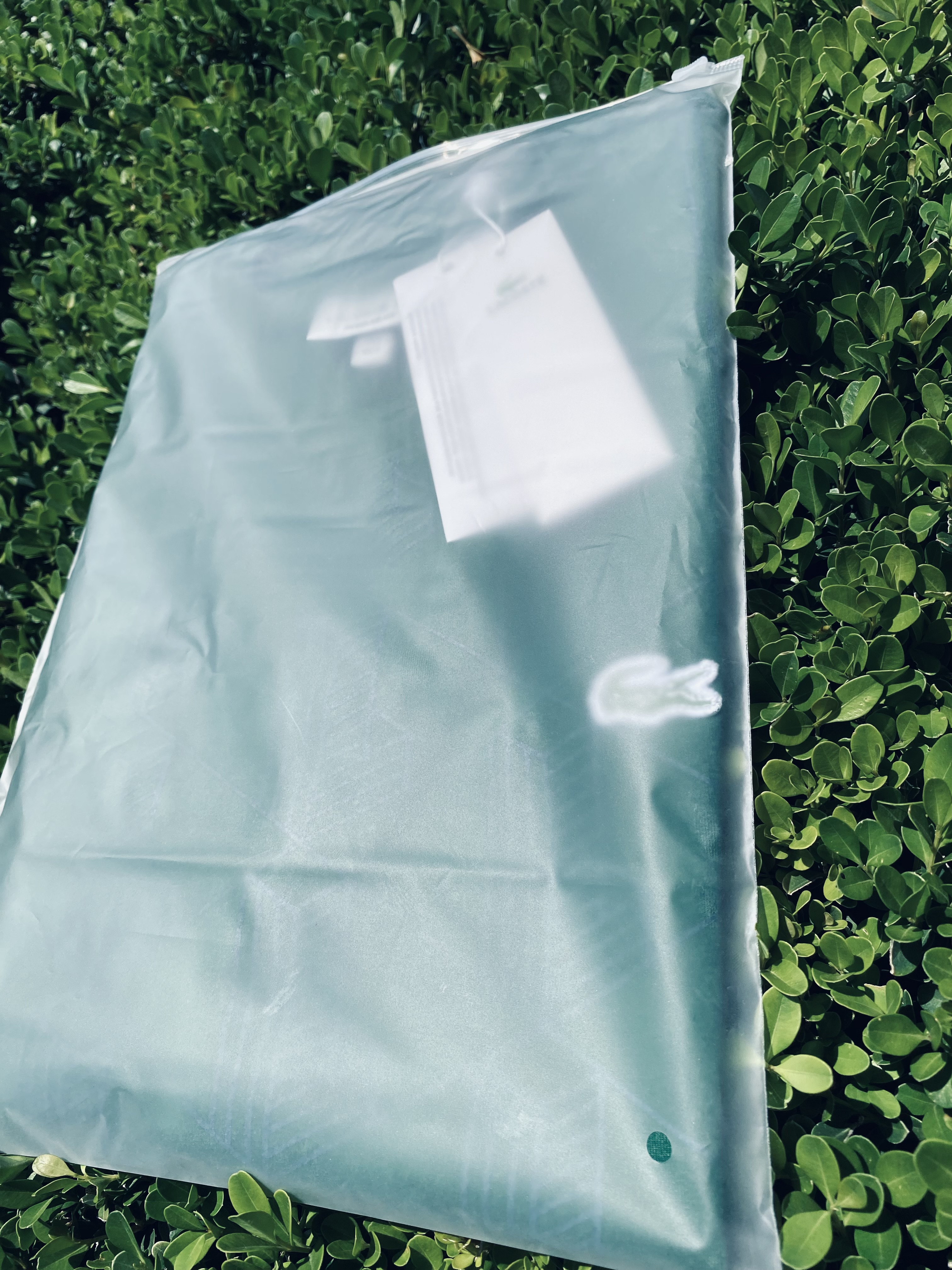 LACOSTE • Talla S amplia • Cuello redondo - Image 1