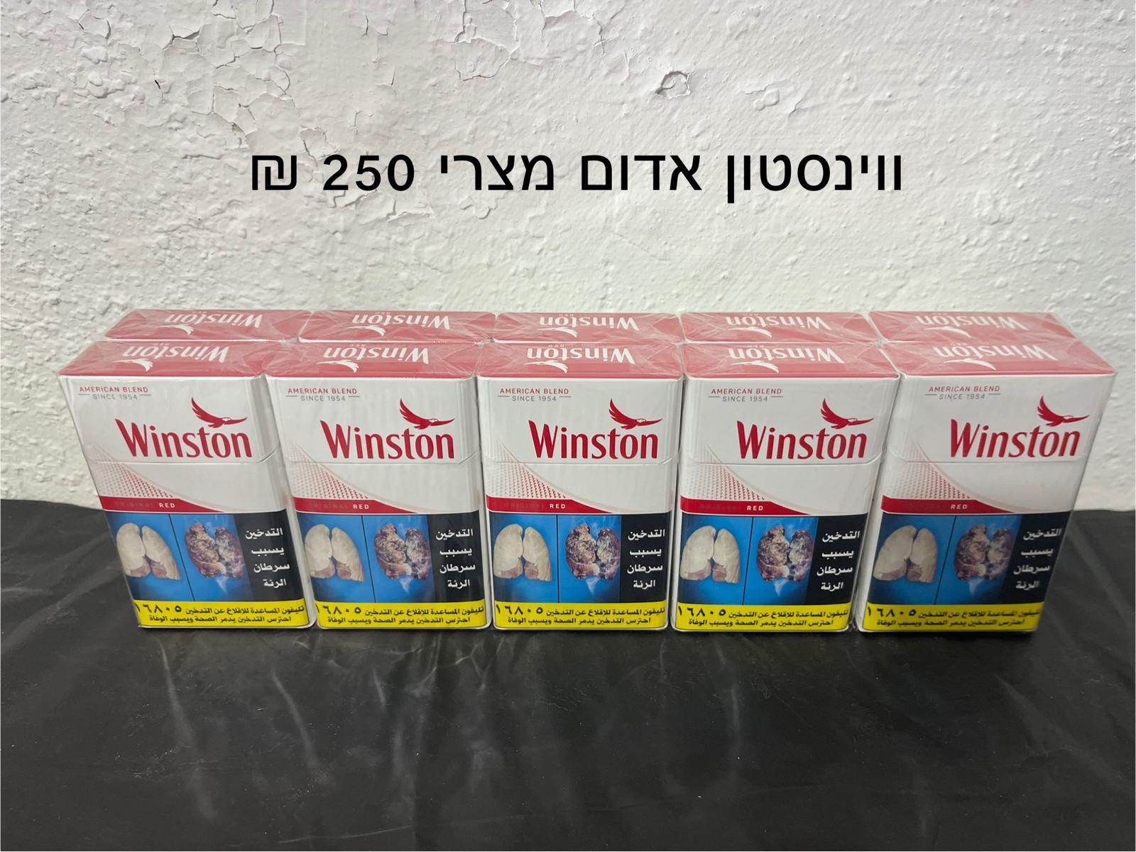 ווינסטון אדום מצרי
