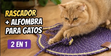 🐱 Rascador y Alfombra para Gatos 43 cm | Tapete Interactivo con Pelota 4