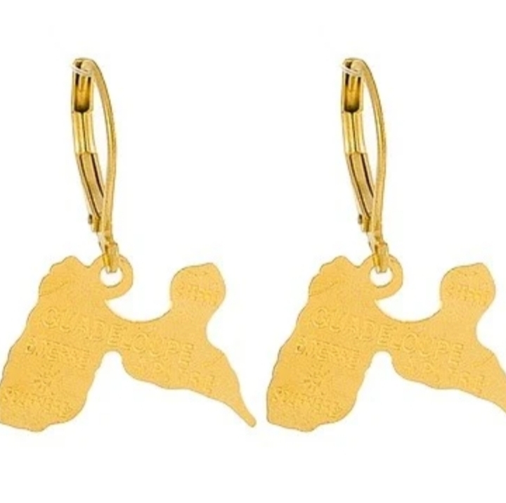 Boucle d'oreille 