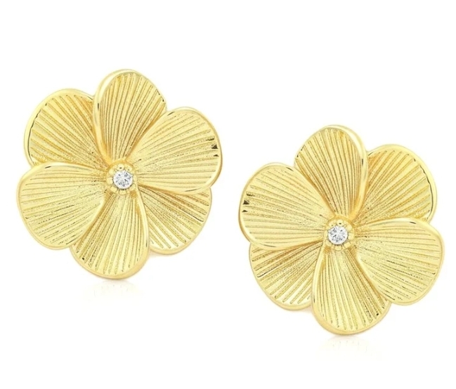 Boucle d'oreille 