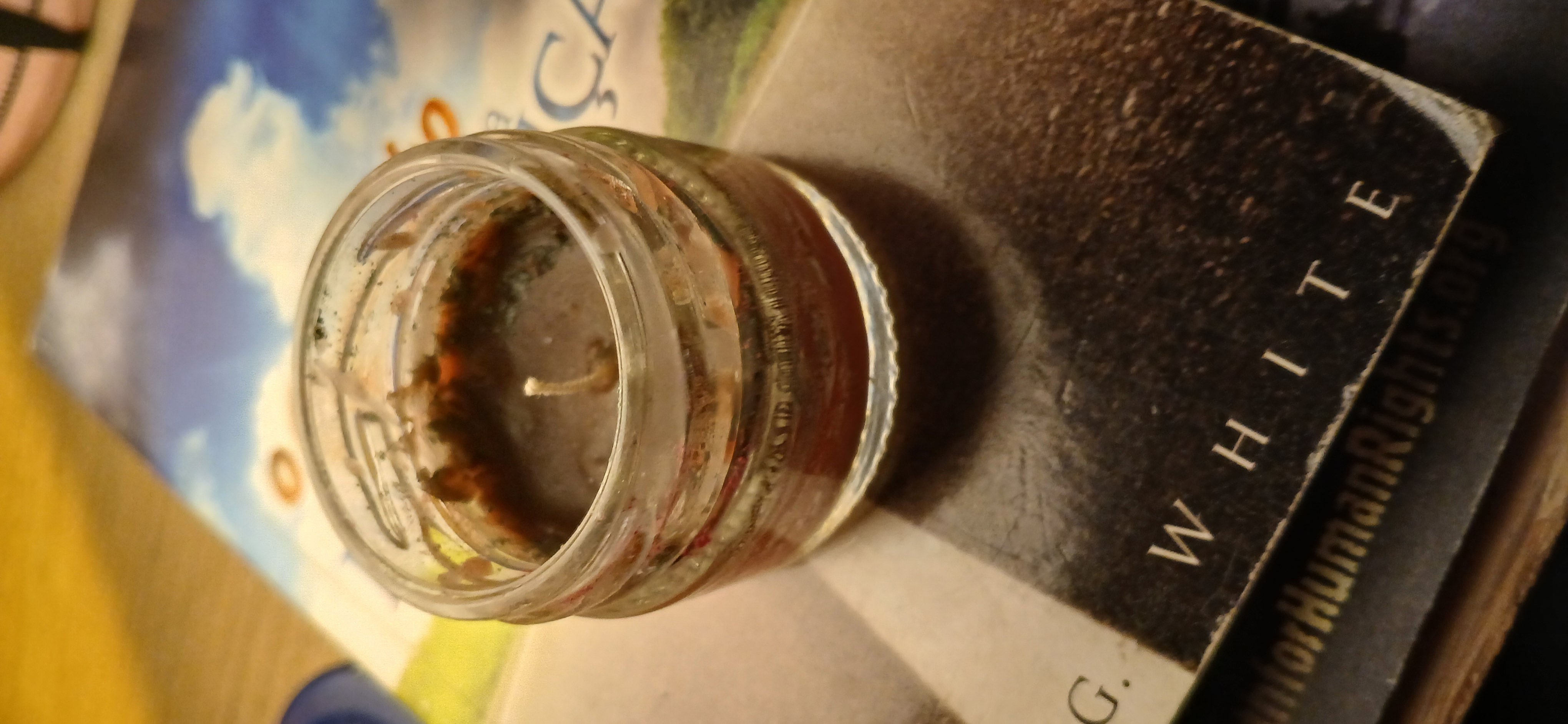 Bougies papaillette - Image 1