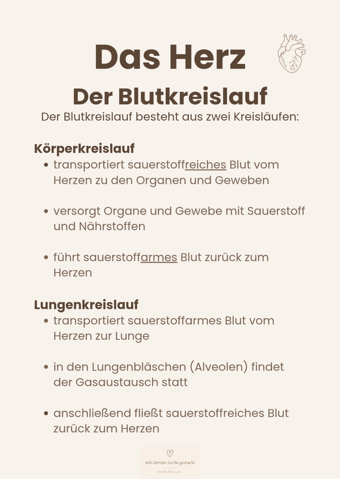 Lernkarten Herz 3