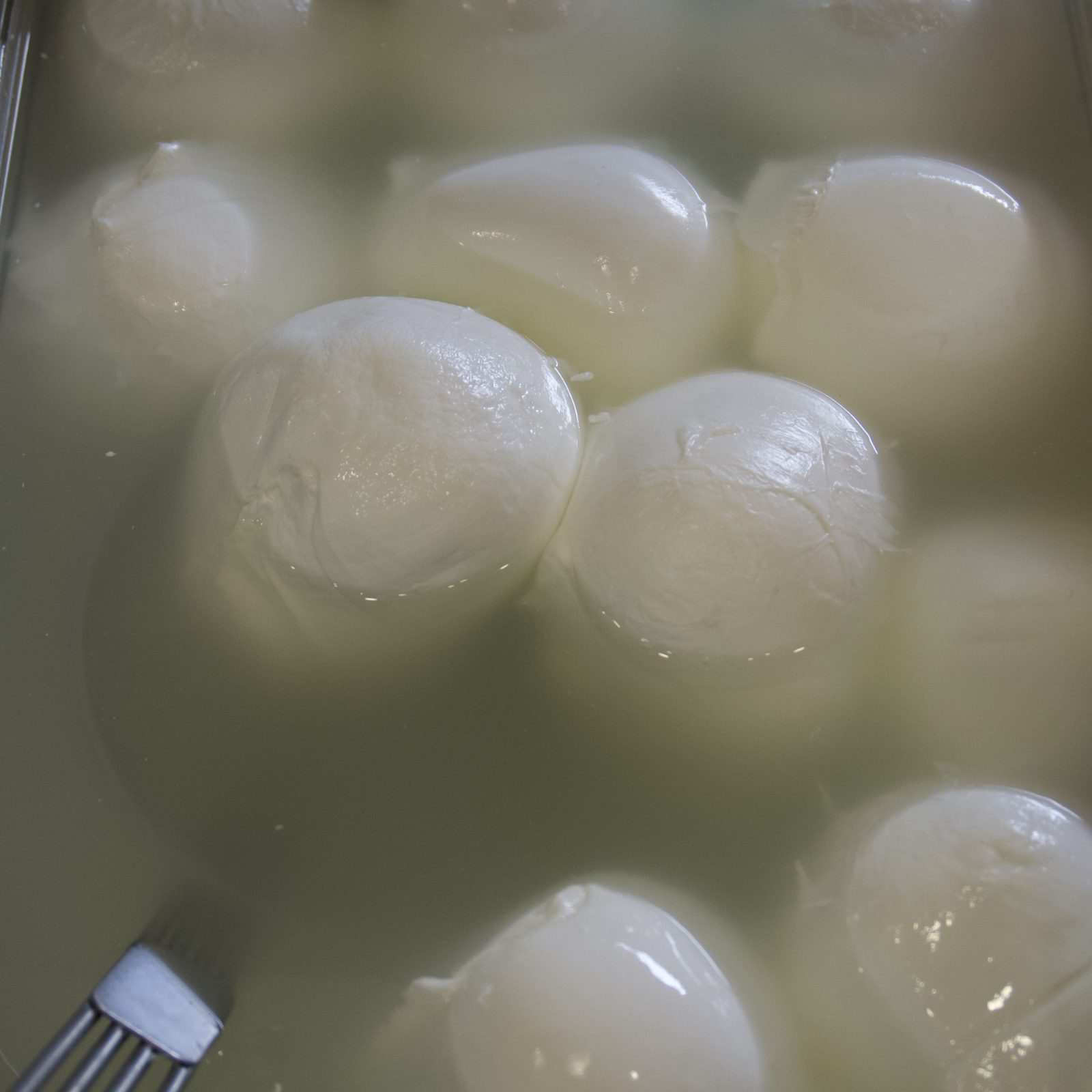 Mozzarella di bufala DOP