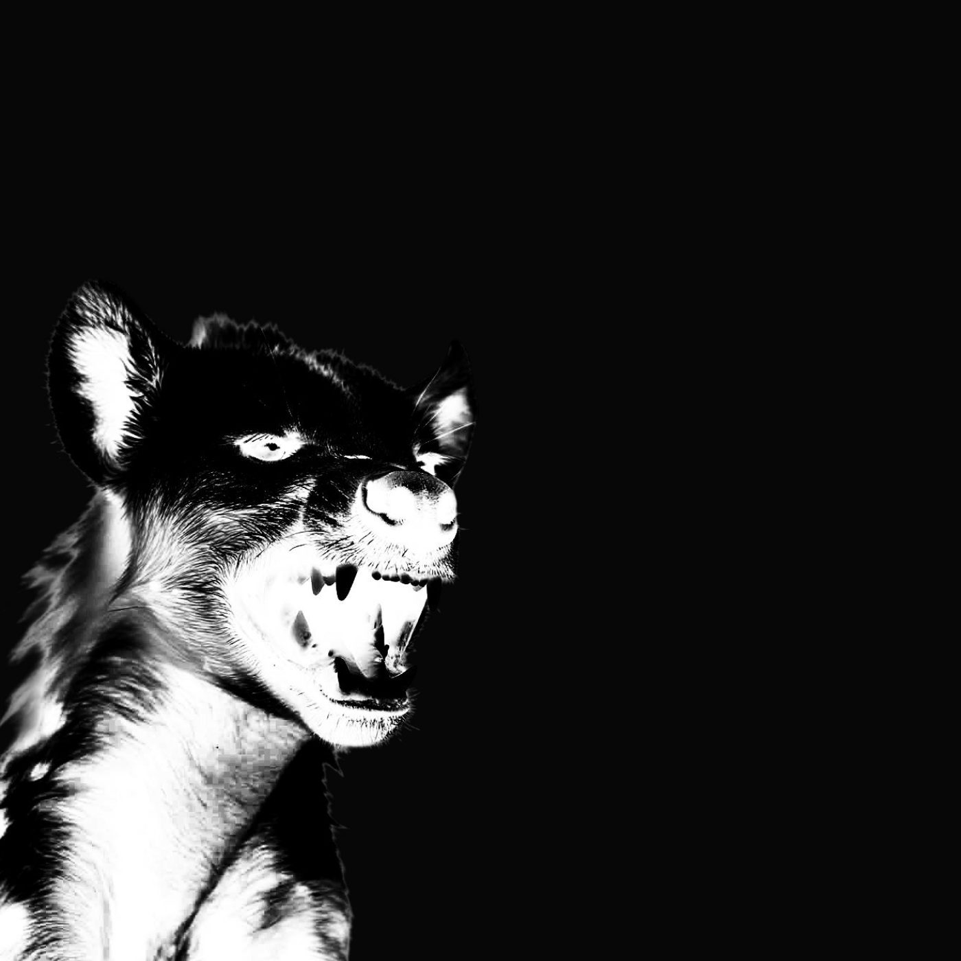 CD Hyena