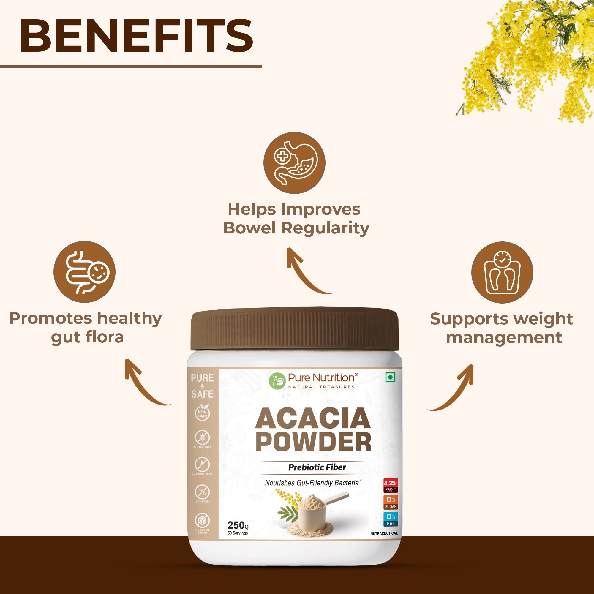Acacia Powder Prebiotic Fiber for Gut Health & Digestive Wellness 2