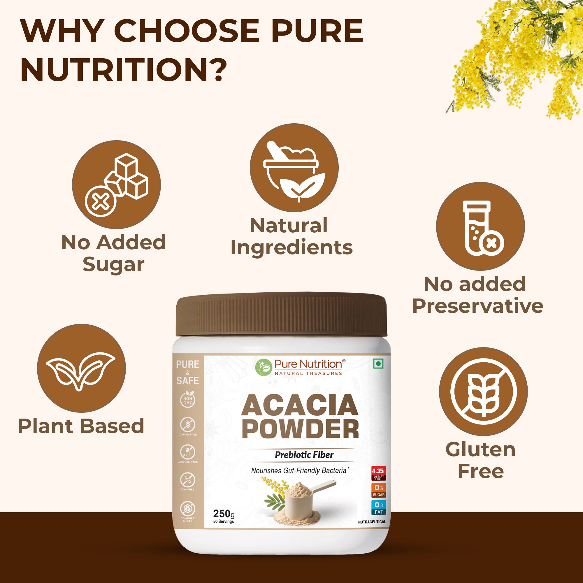 Acacia Powder Prebiotic Fiber for Gut Health & Digestive Wellness 3